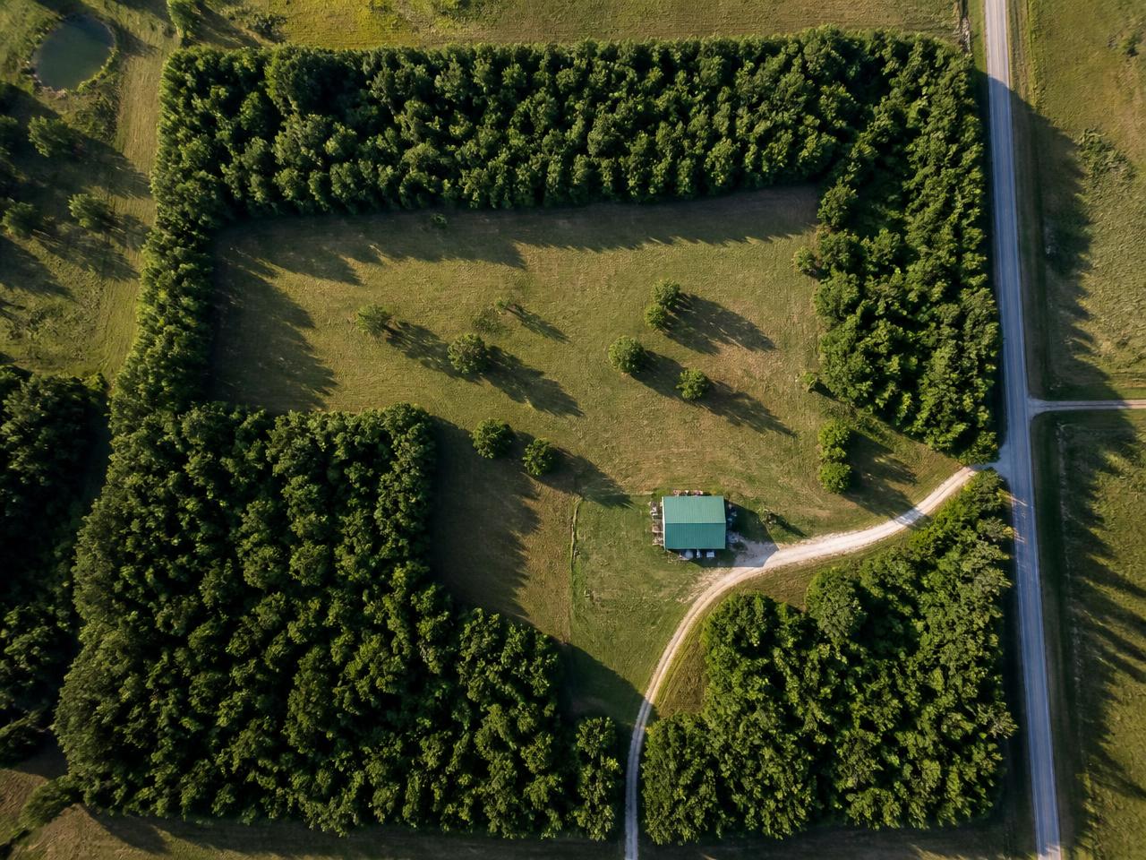 Aerial view of a wooded land parcel with tree-line boundaries and a gravel drive